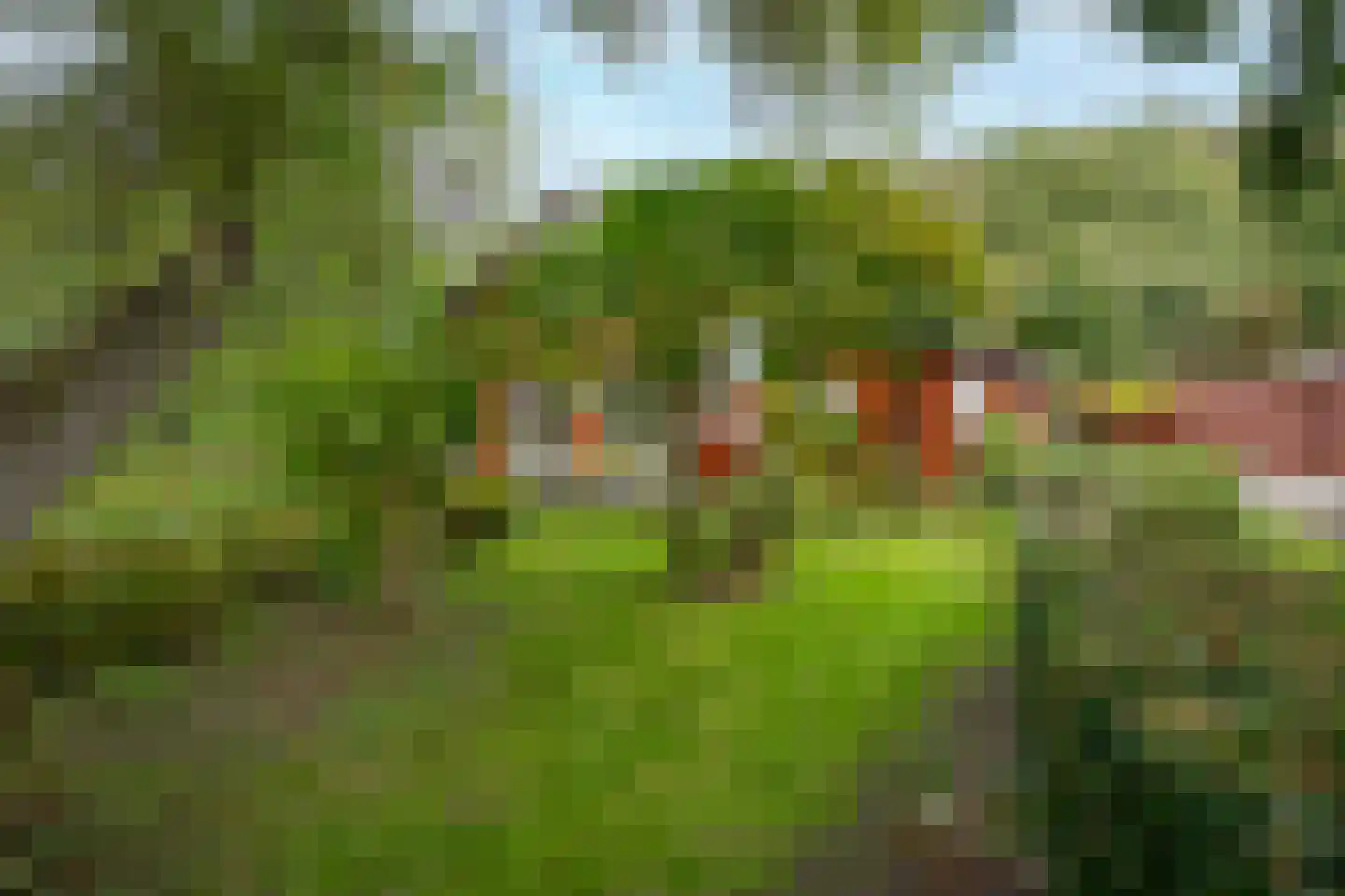 Hyacintenlaan 9 Warmond thumbnail 25