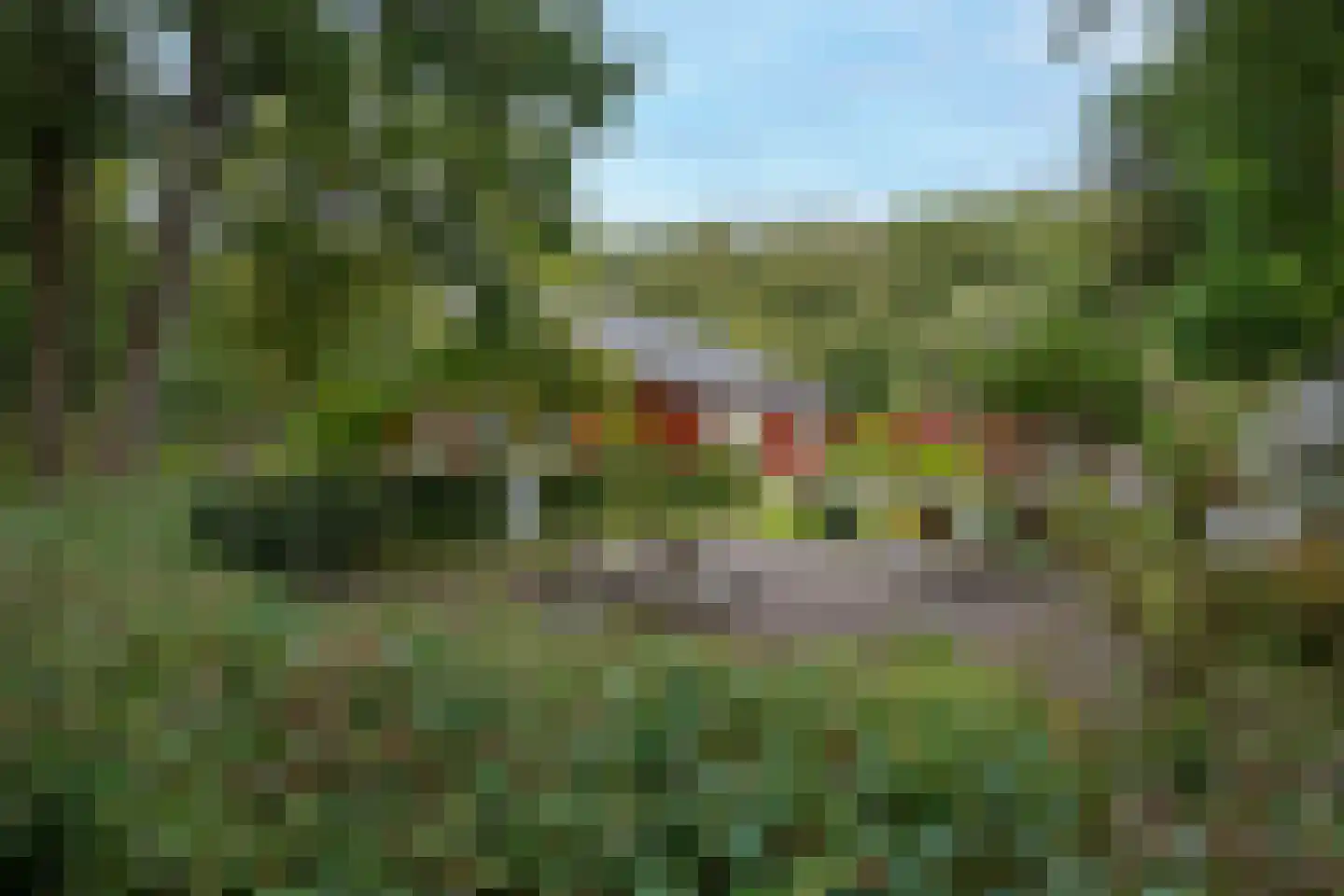 Hyacintenlaan 9 Warmond thumbnail 34