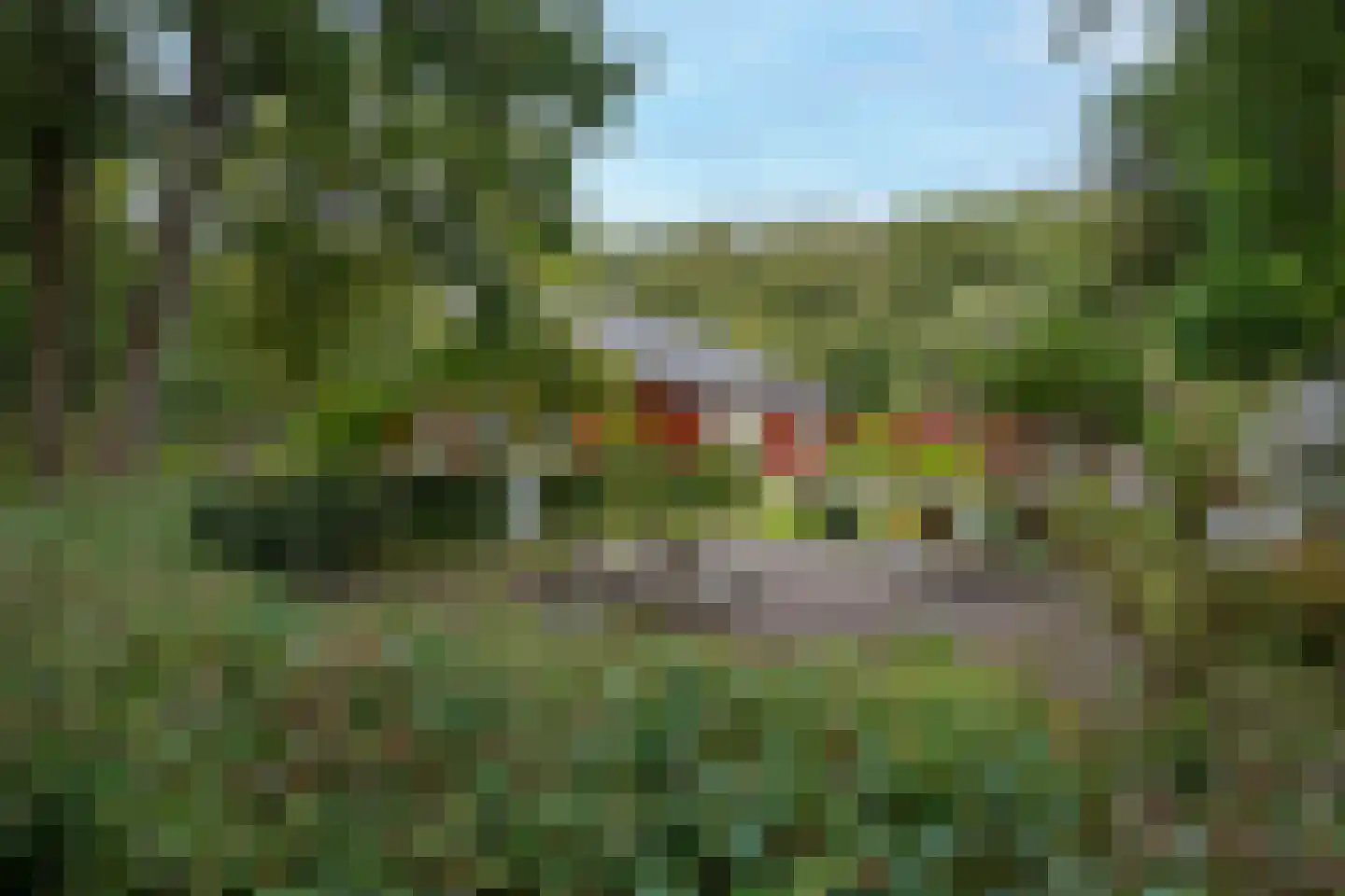 Hyacintenlaan 9 Warmond thumbnail 34