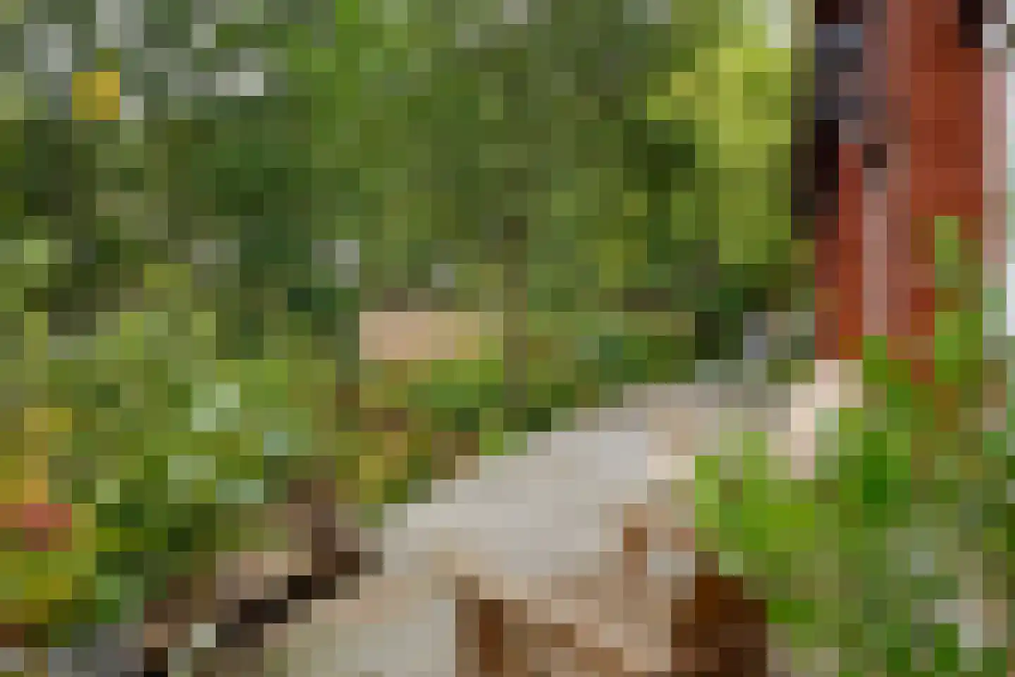 Hyacintenlaan 9 Warmond thumbnail 38