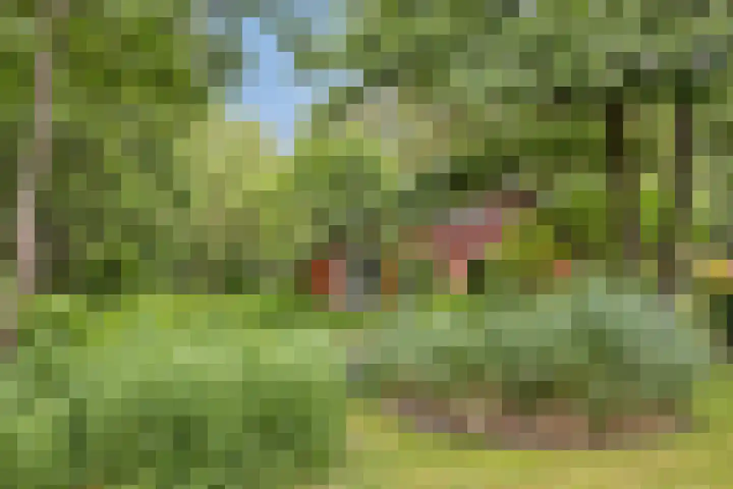 Hyacintenlaan 9 Warmond thumbnail 43