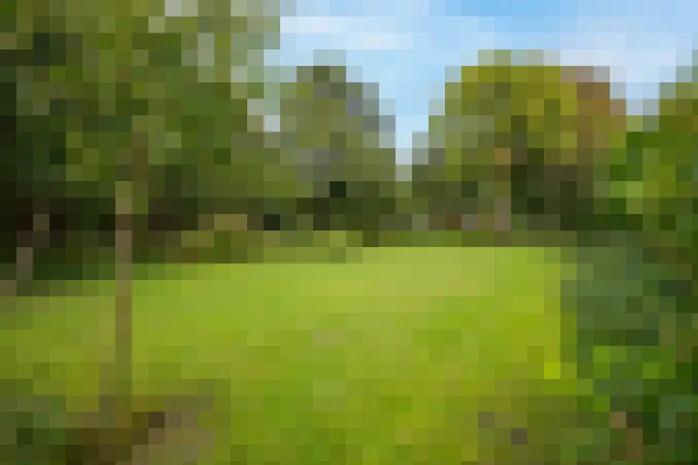 Hyacintenlaan 9 Warmond thumbnail 51