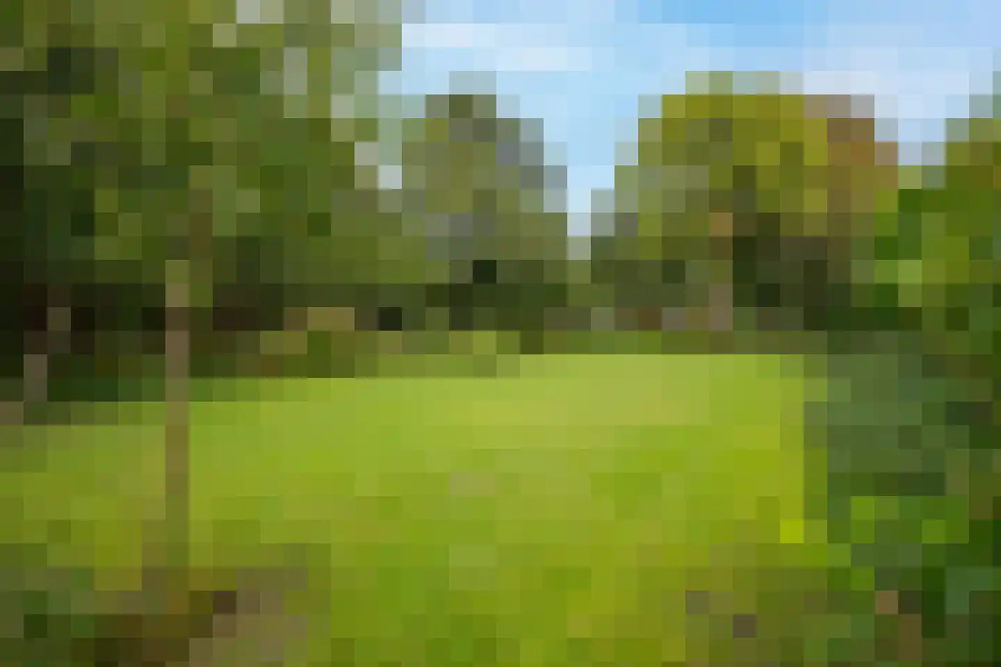 Hyacintenlaan 9 Warmond thumbnail 51
