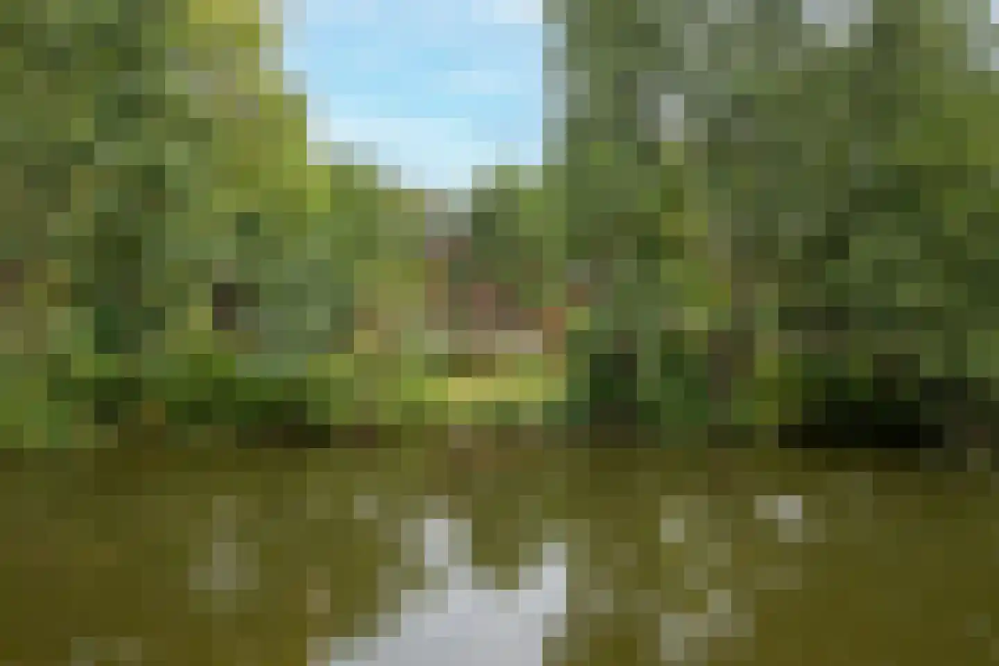 Hyacintenlaan 9 Warmond thumbnail 55