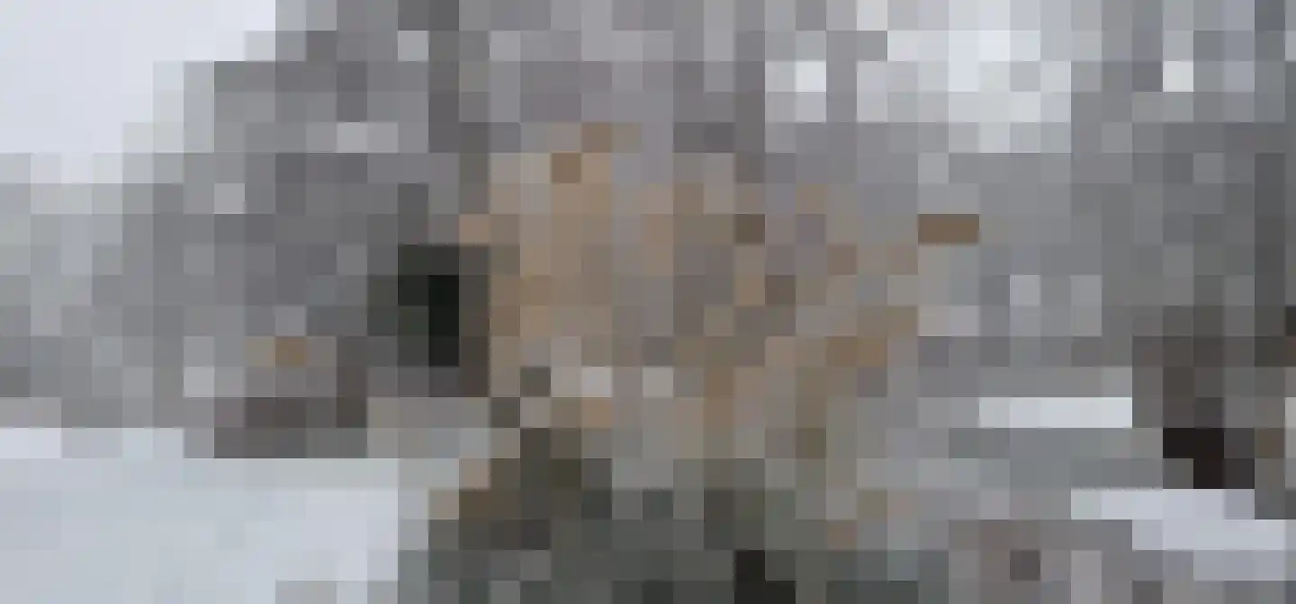Hyacintenlaan 9 Warmond thumbnail 61