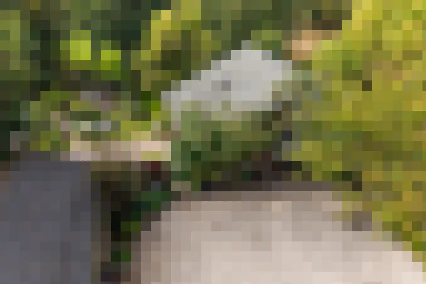 Hyacintenlaan 9 Warmond thumbnail 62