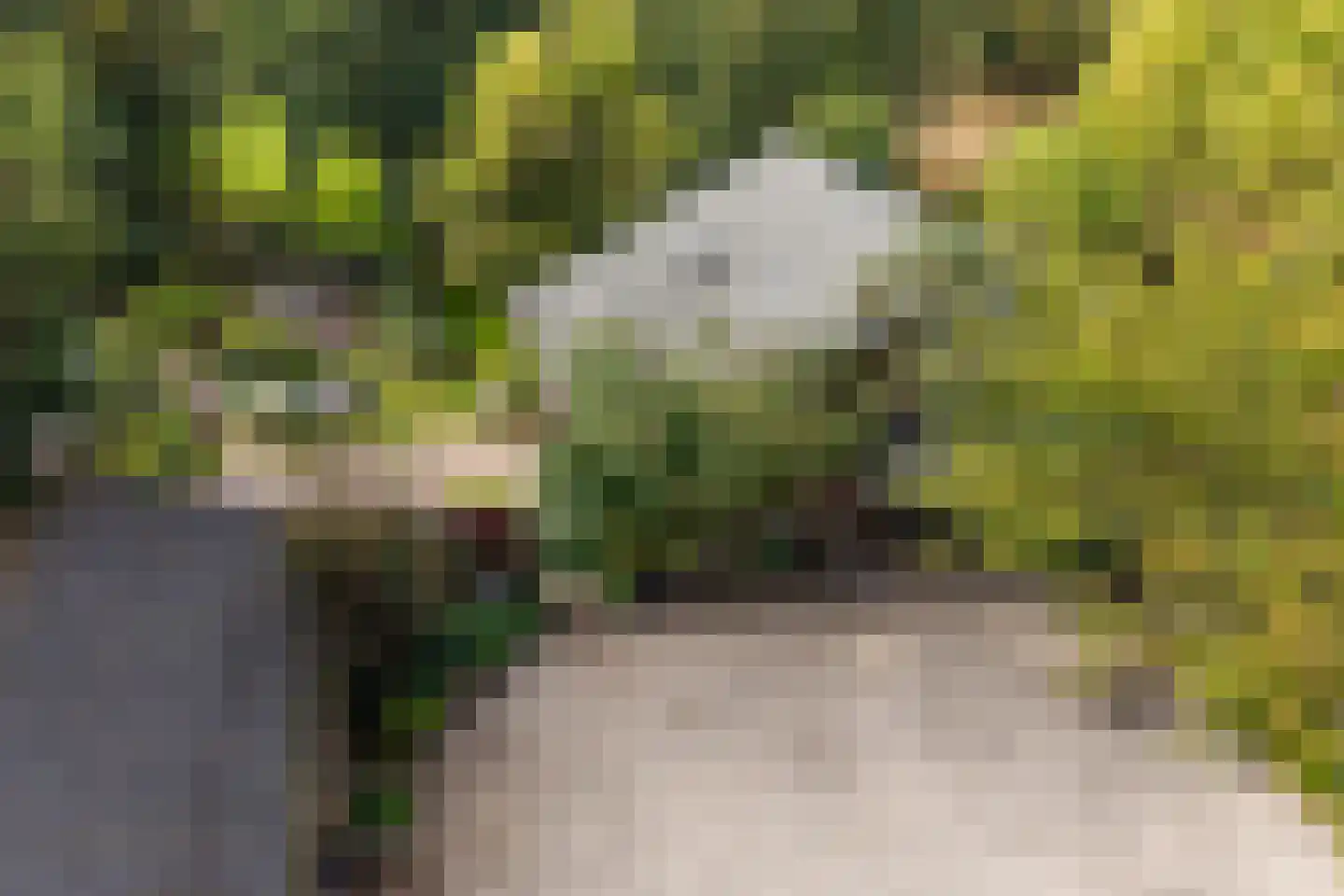 Hyacintenlaan 9 Warmond thumbnail 62