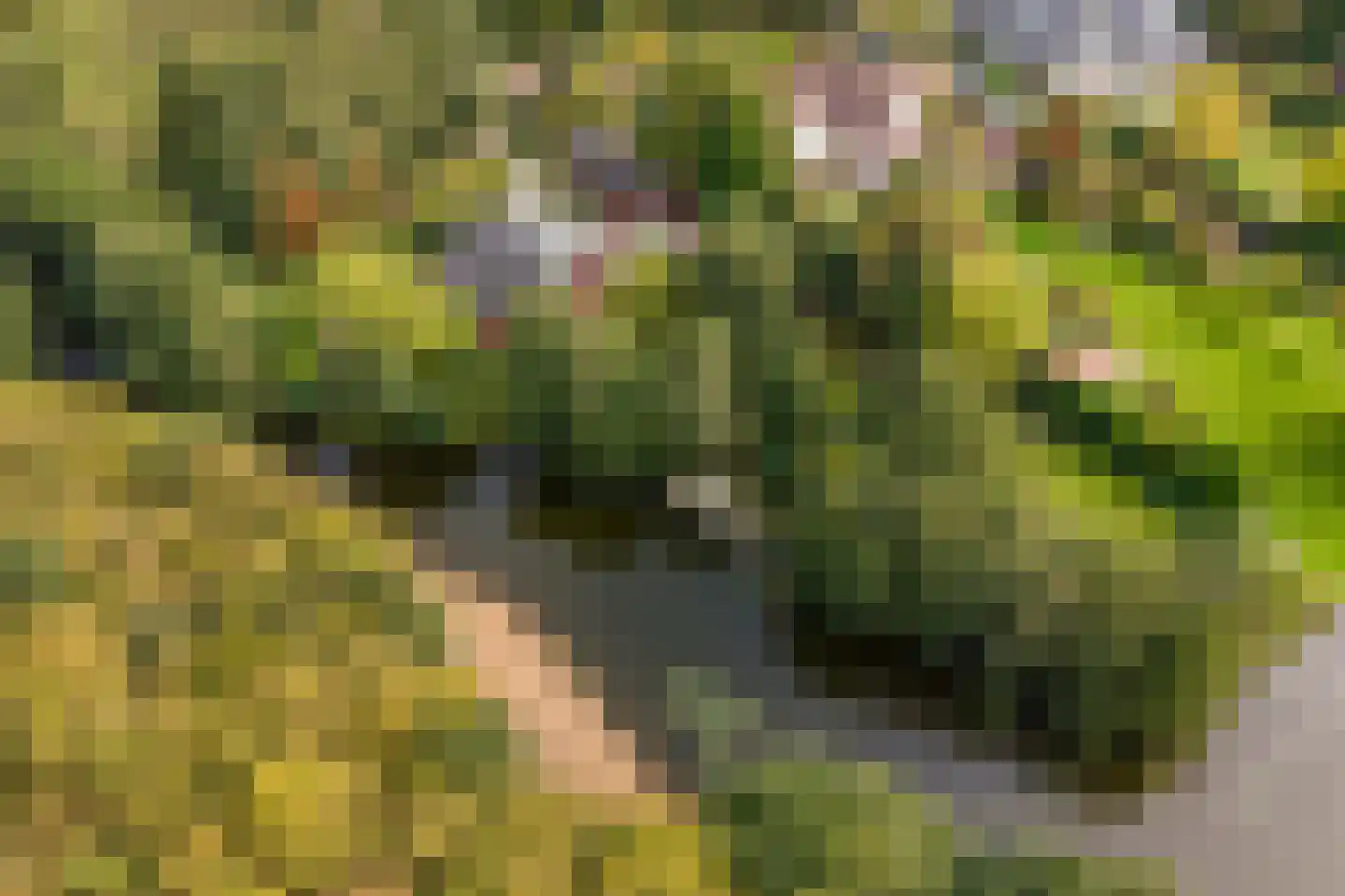Hyacintenlaan 9 Warmond thumbnail 64