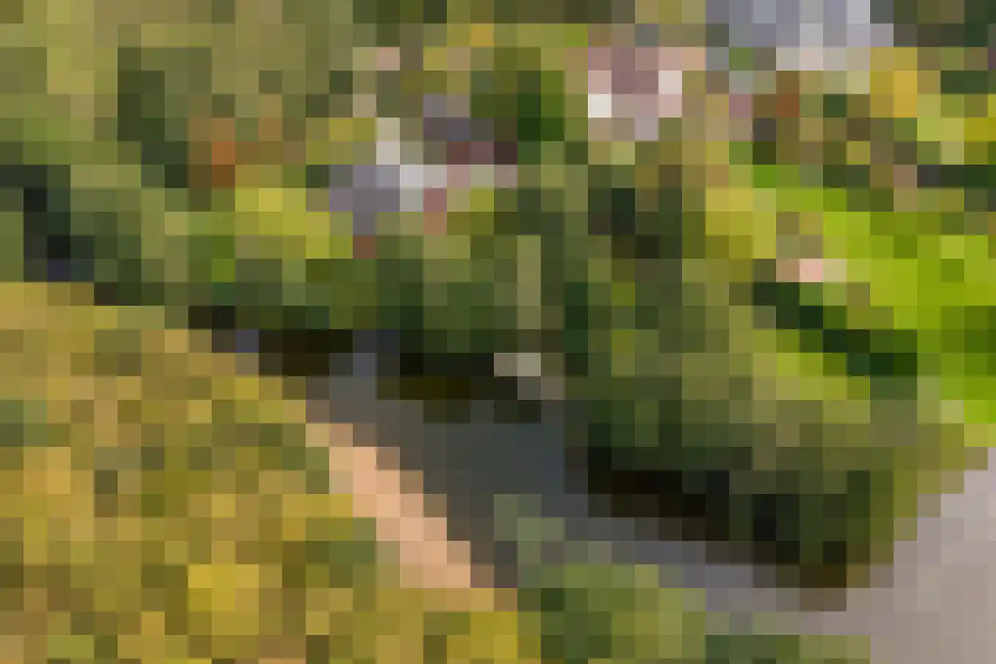 Hyacintenlaan 9 Warmond thumbnail 64