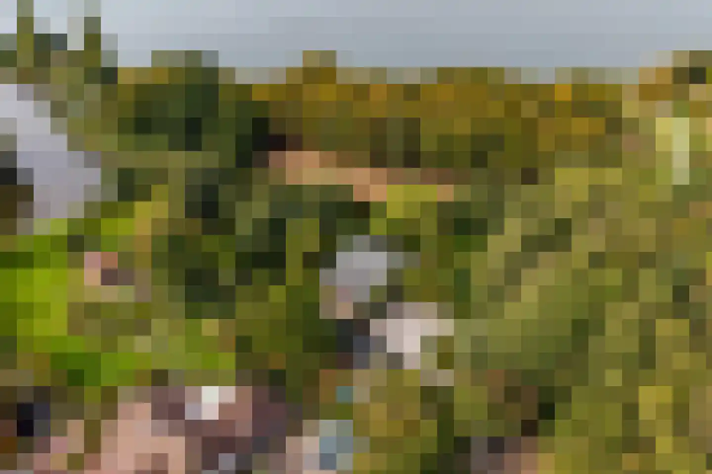 Hyacintenlaan 9 Warmond thumbnail 65
