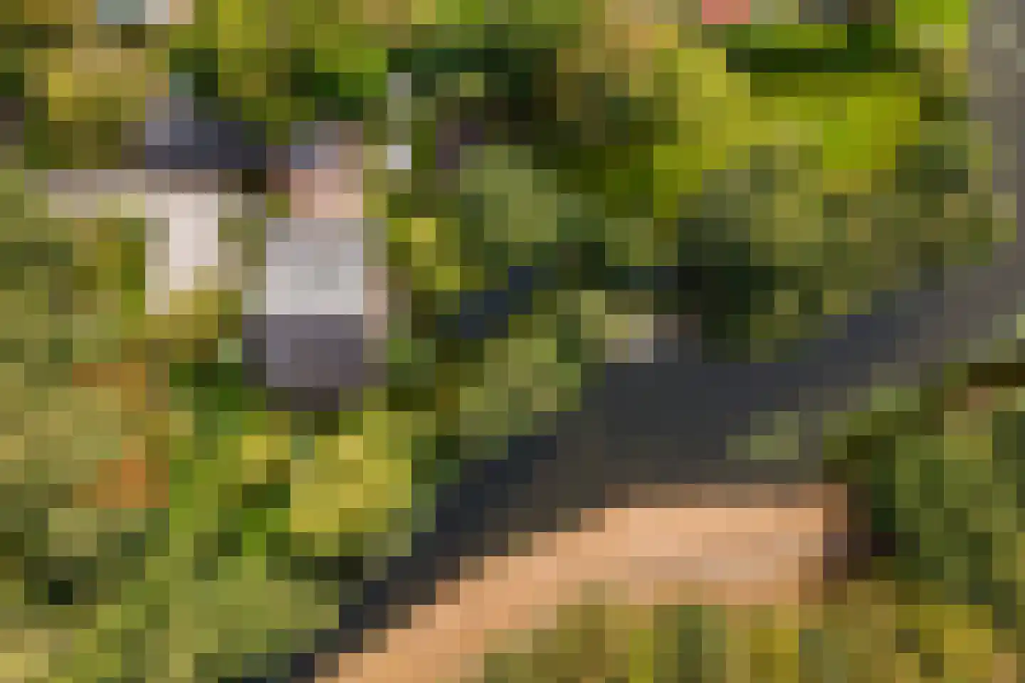Hyacintenlaan 9 Warmond thumbnail 66