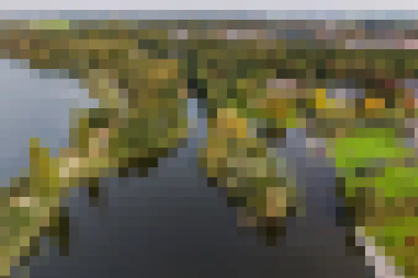 Hyacintenlaan 9 Warmond thumbnail 67