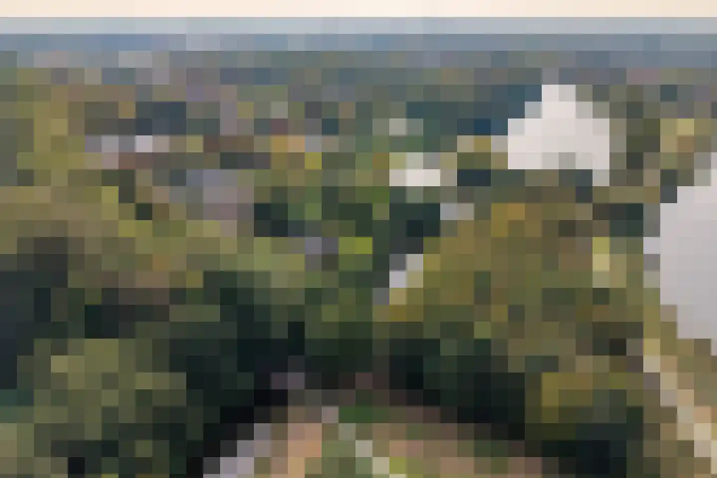 Hyacintenlaan 9 Warmond thumbnail 69