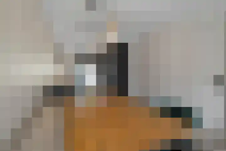 Hyacintenstraat 17 Breezand thumbnail 14