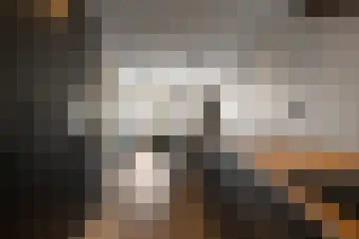 Hyacintenstraat 17 Breezand thumbnail 15