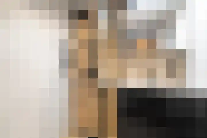 Hyacintenstraat 17 Breezand thumbnail 18