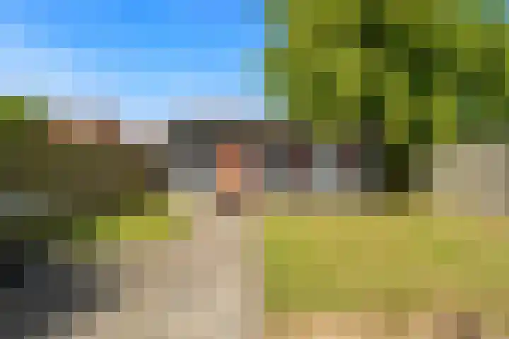 Hyacintenstraat 17 Breezand thumbnail 21
