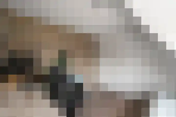 Hyacintenstraat 17 Breezand thumbnail 24