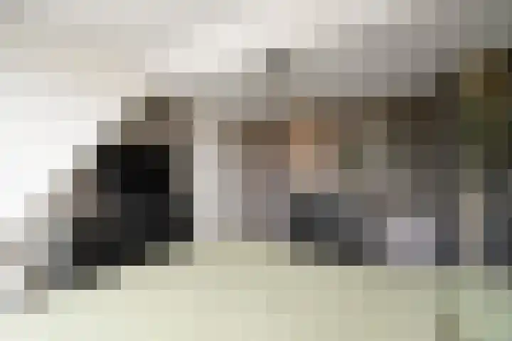Hyacintenstraat 17 Breezand thumbnail 26