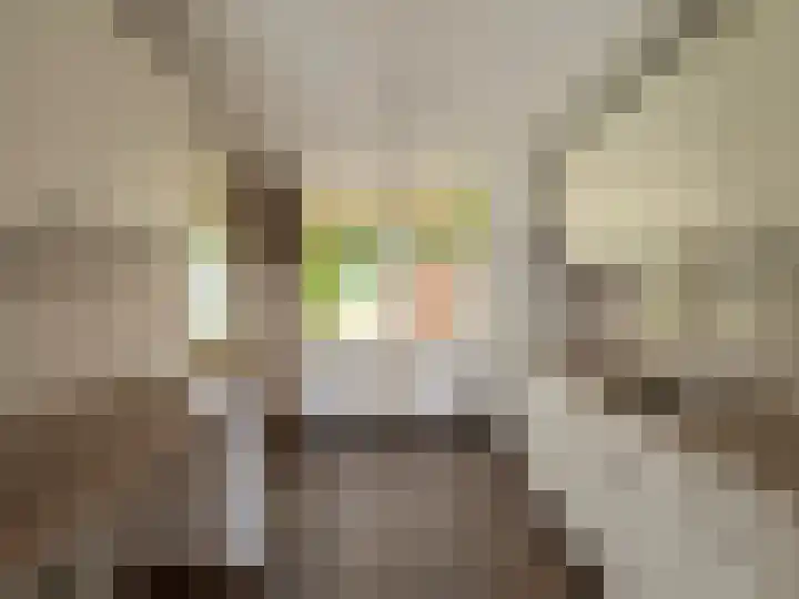 Hyacintenstraat 19 Breezand thumbnail 15