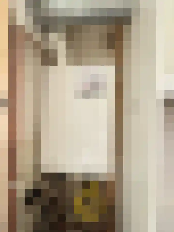 Hyacintenstraat 19 Breezand thumbnail 16