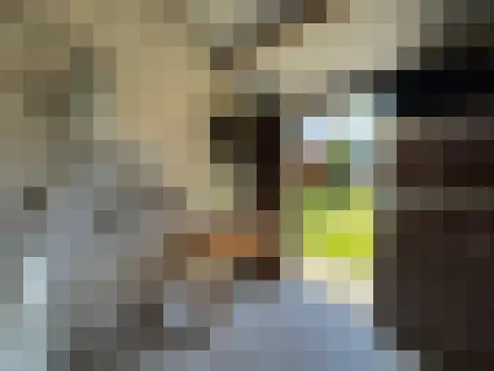 Hyacintenstraat 19 Breezand thumbnail 9