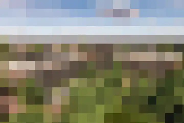 Hyacintenstraat 25 a 13 Heteren thumbnail 15