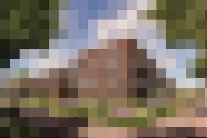 Hyacintenstraat 25 a 13 Heteren thumbnail 16