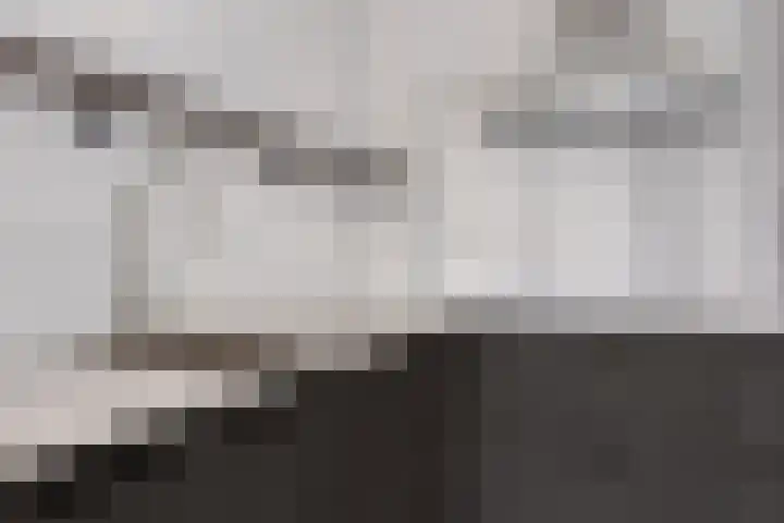 Hyacintenstraat 25 a 3 Heteren thumbnail 18