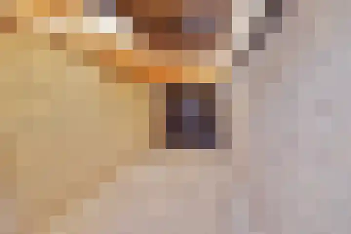 Hyacintenstraat 32 Echt thumbnail 25