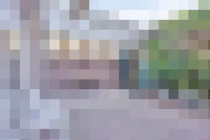 Hyacintenstraat 32 Echt thumbnail 28