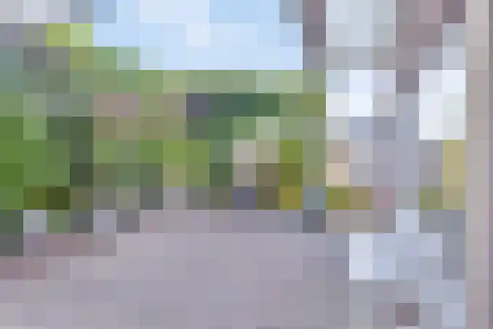 Hyacintenstraat 32 Echt thumbnail 29