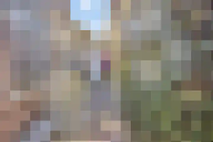 Hyacintenstraat 32 Echt thumbnail 31