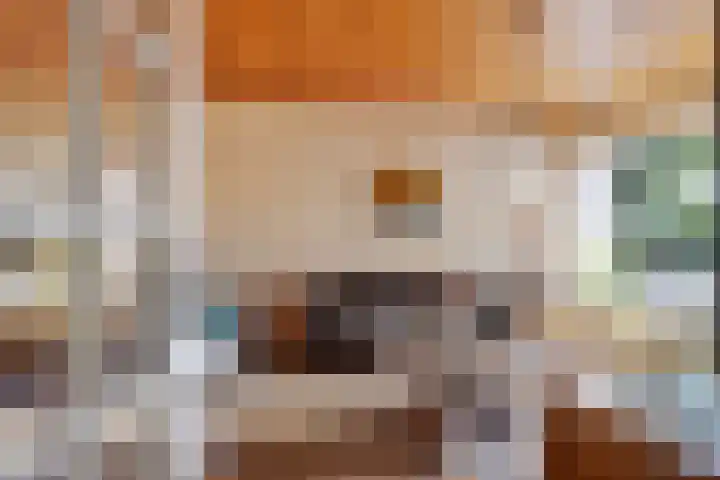 Hyacintenstraat 32 Echt thumbnail 6