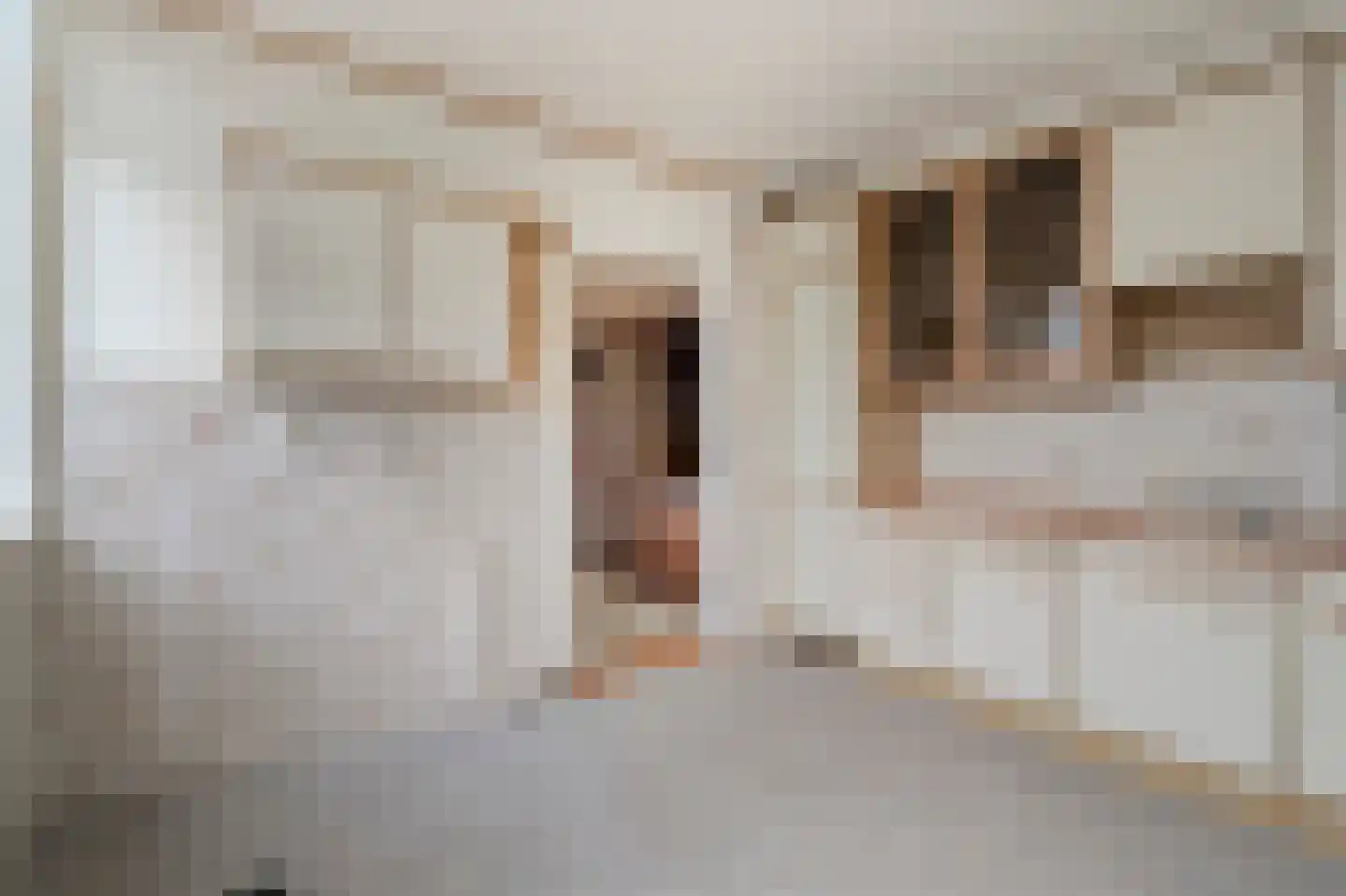 Hyacintenstraat 49 Breezand thumbnail 12