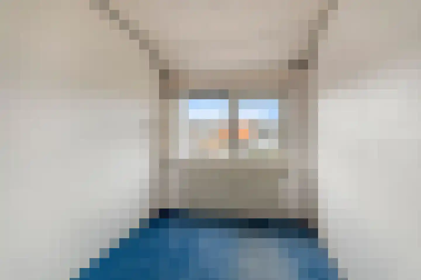Hyacintenstraat 49 Breezand thumbnail 19