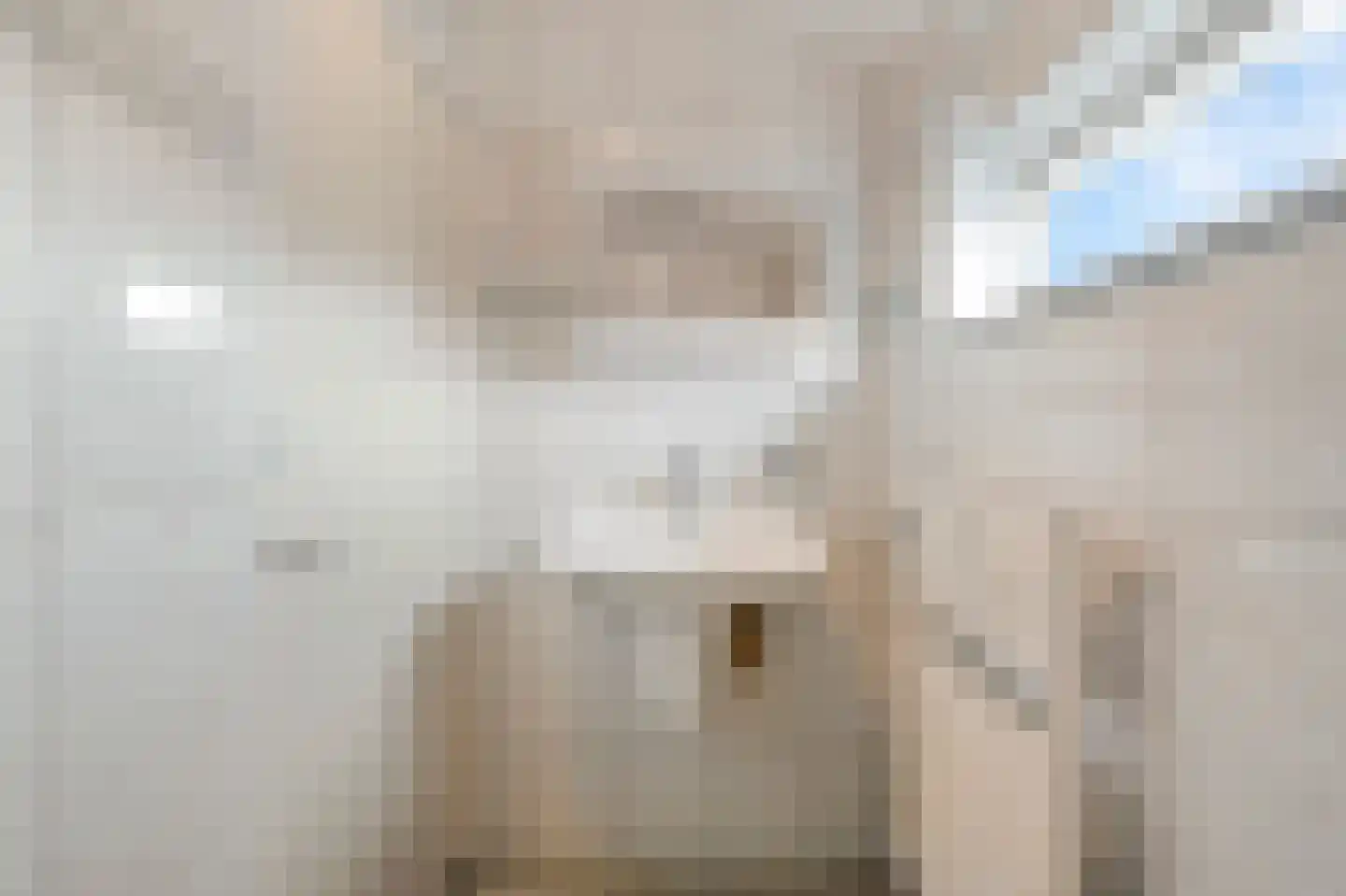 Hyacintenstraat 49 Breezand thumbnail 24