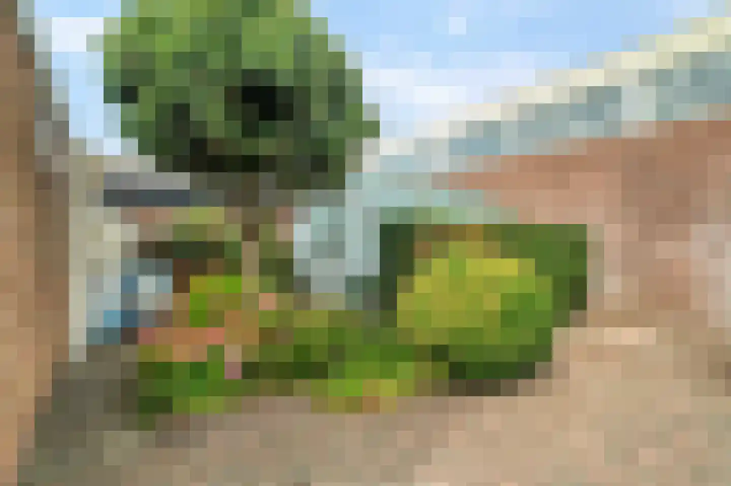 Hyacintenstraat 49 Breezand thumbnail 31