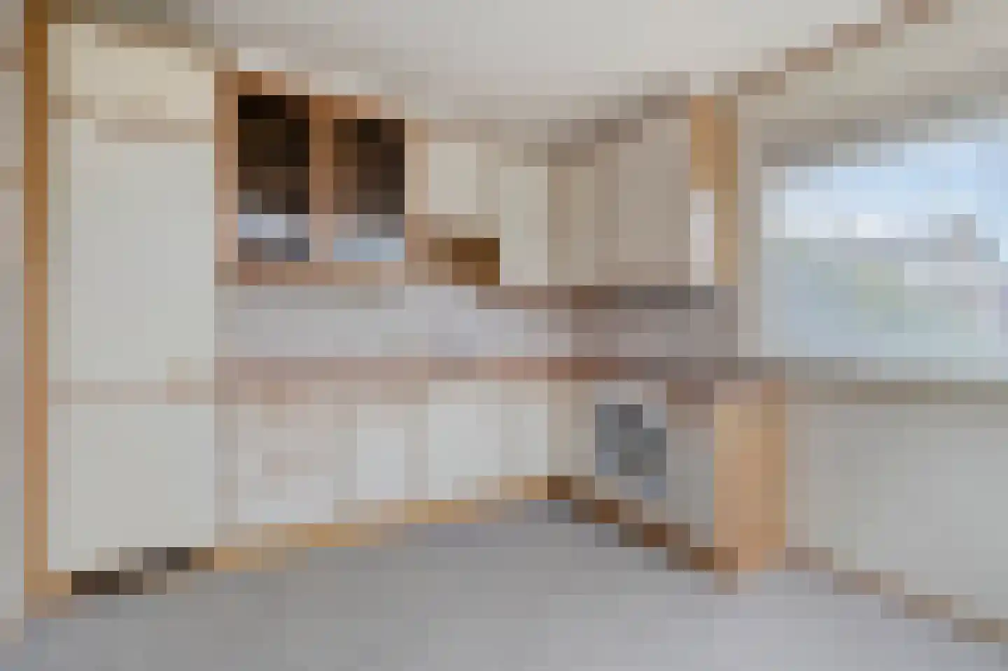Hyacintenstraat 49 Breezand thumbnail 4