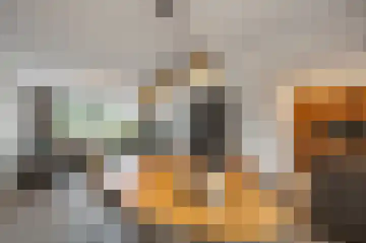 Hyacintenstraat 5 Echt thumbnail 14