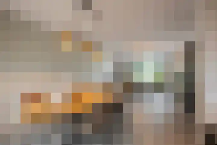 Hyacintenstraat 5 Echt thumbnail 15
