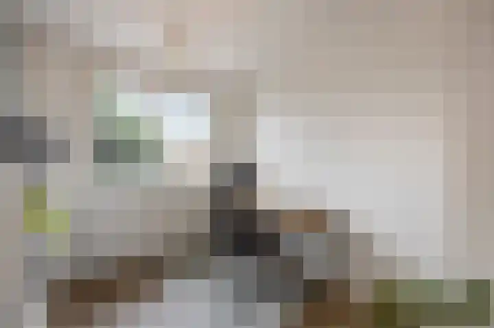 Hyacintenstraat 5 Echt thumbnail 34