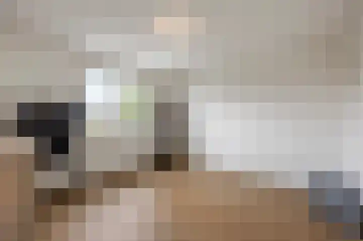 Hyacintenstraat 5 Echt thumbnail 35