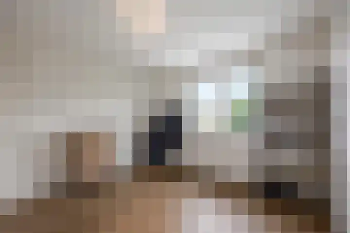 Hyacintenstraat 5 Echt thumbnail 36