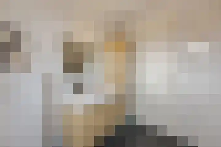 Hyacintenstraat 5 Echt thumbnail 39