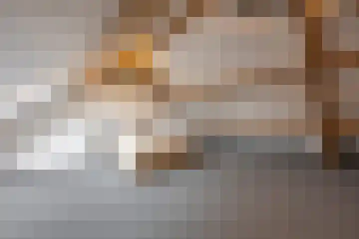 Hyacintenstraat 5 Echt thumbnail 43