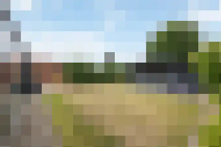 Hyacintenstraat 5 Echt thumbnail 46