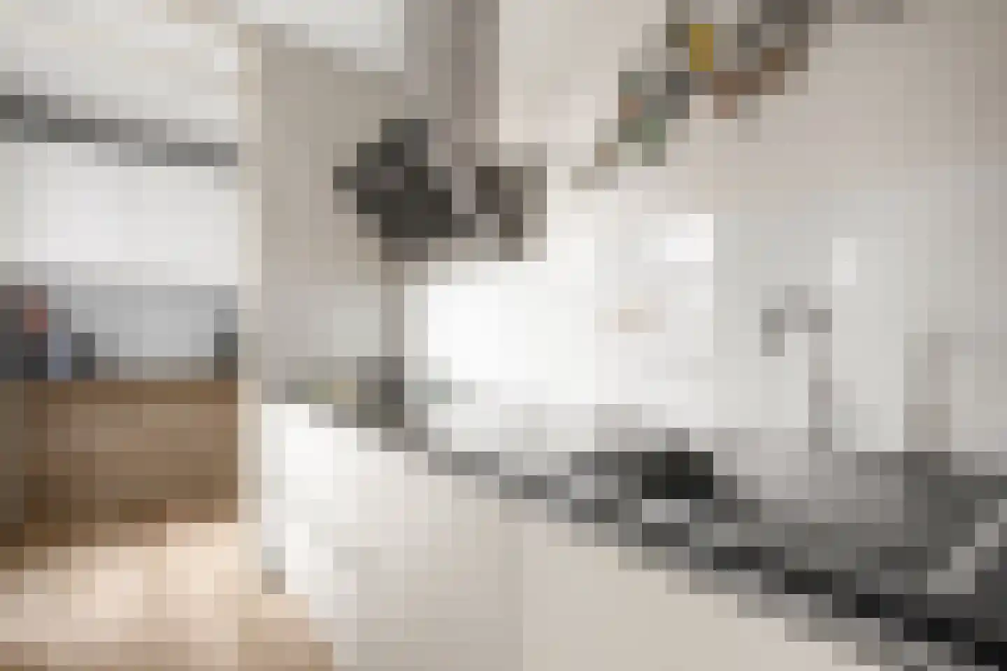 Hyacintentuin 1 Houten thumbnail 10