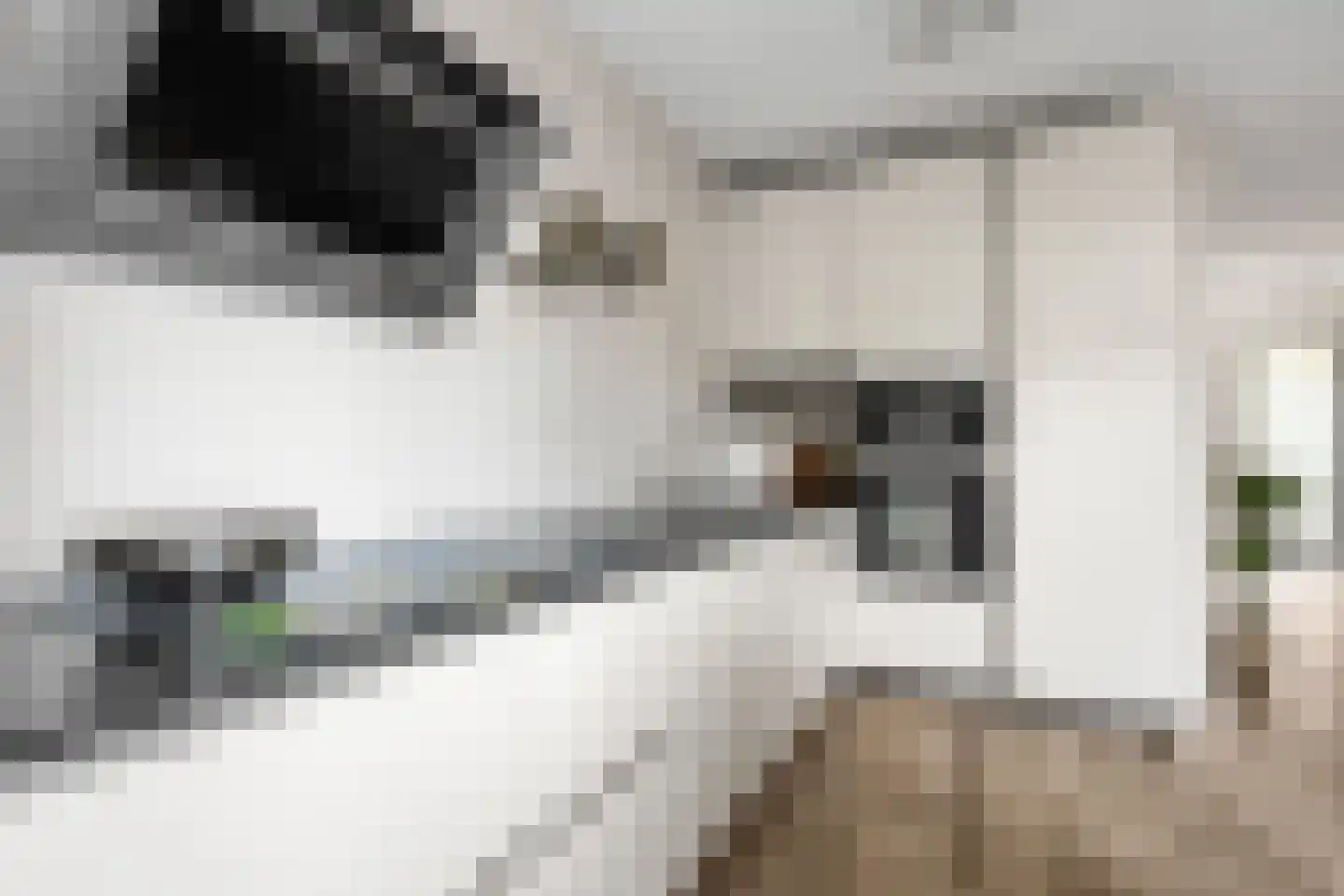 Hyacintentuin 1 Houten thumbnail 11