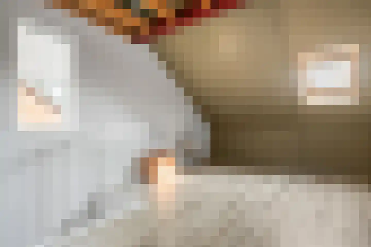 Hyacintentuin 1 Houten thumbnail 20